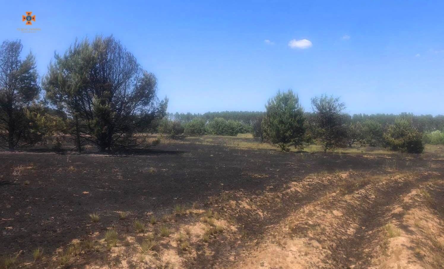 В Киевской области пьяный мужчина устроил масштабный пожар и едва сам не сгорел. Фото