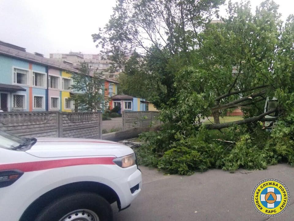 Сломанные деревья и поврежденные авто: спасатели показали последствия урагана в Киеве 2 июня. Фото