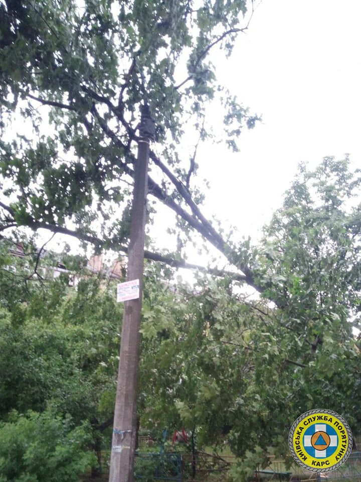Сломанные деревья и поврежденные авто: спасатели показали последствия урагана в Киеве 2 июня. Фото