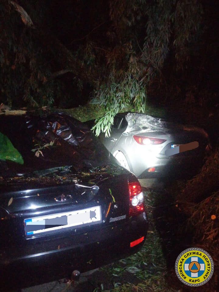 Сломанные деревья и поврежденные авто: спасатели показали последствия урагана в Киеве 2 июня. Фото