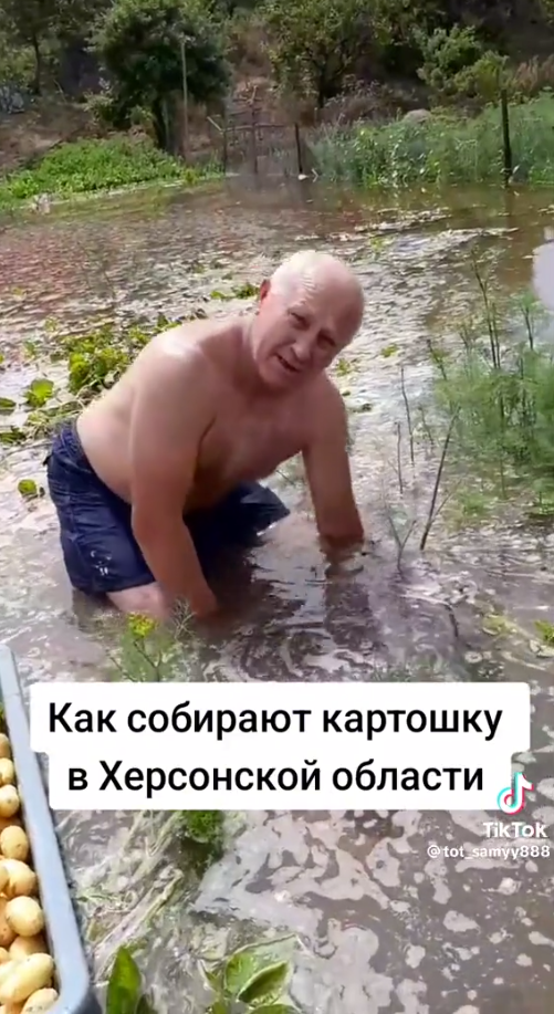 Житель Херсонщины показал, как собирает картофель под водой после подрыва Каховской ГЭС: видео поразило сеть