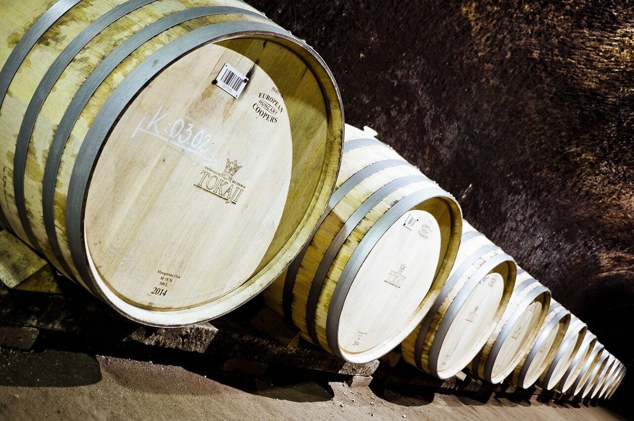 Подорож з родзинкою: найкращі виноробні регіони світу