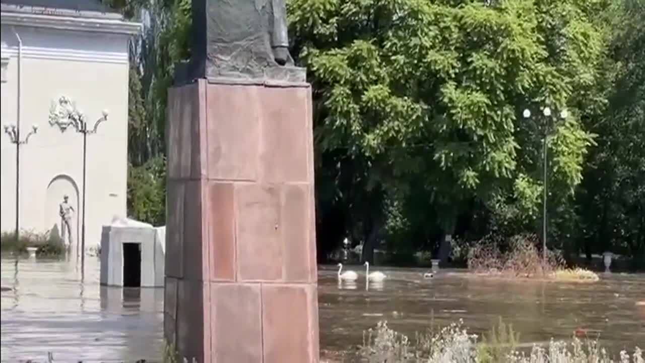 В Новой Каховке возле Дворца культуры из-за затопления в результате подрыва ГЭС плавают лебеди. Видео