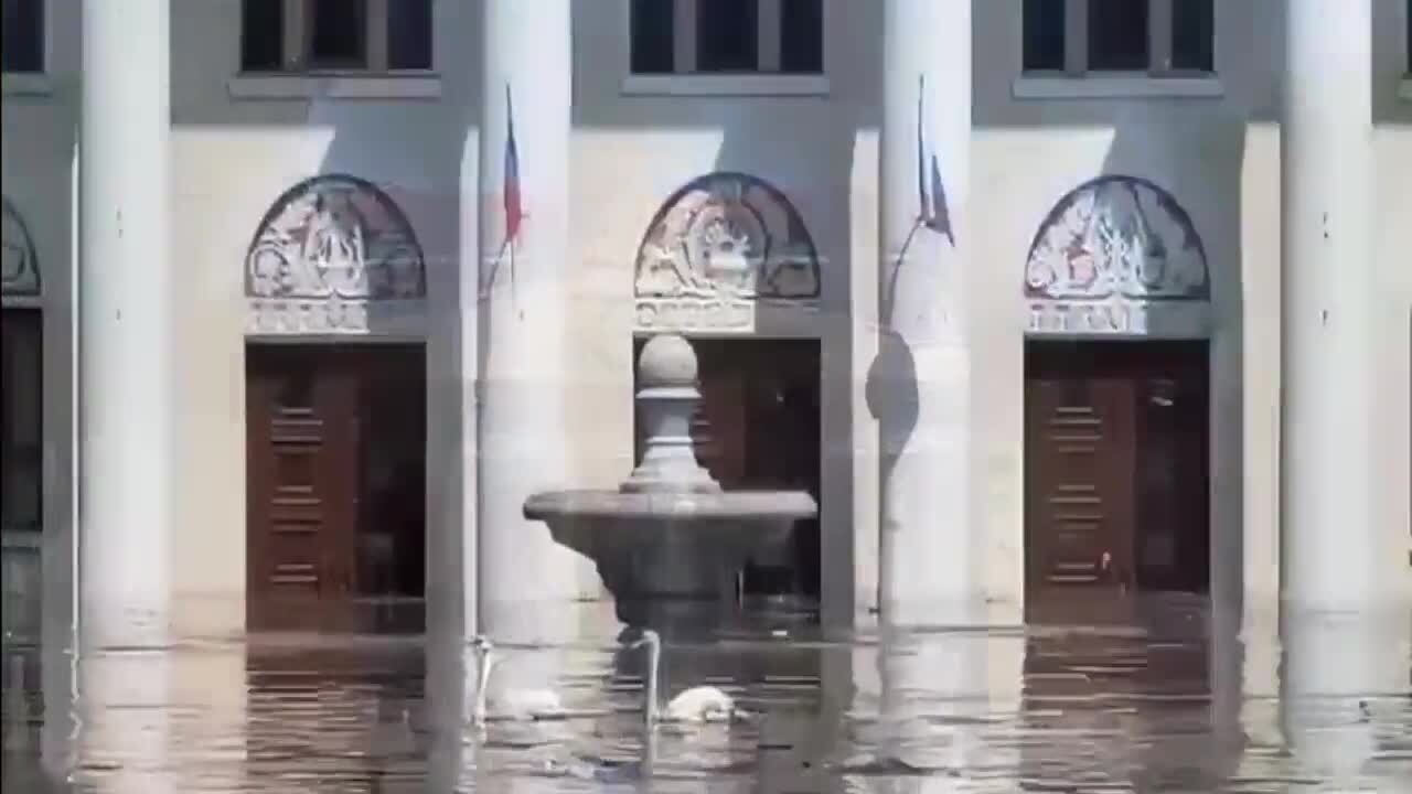 У Новій Каховці біля Палацу культури через затоплення внаслідок підриву ГЕС плавають лебеді. Відео