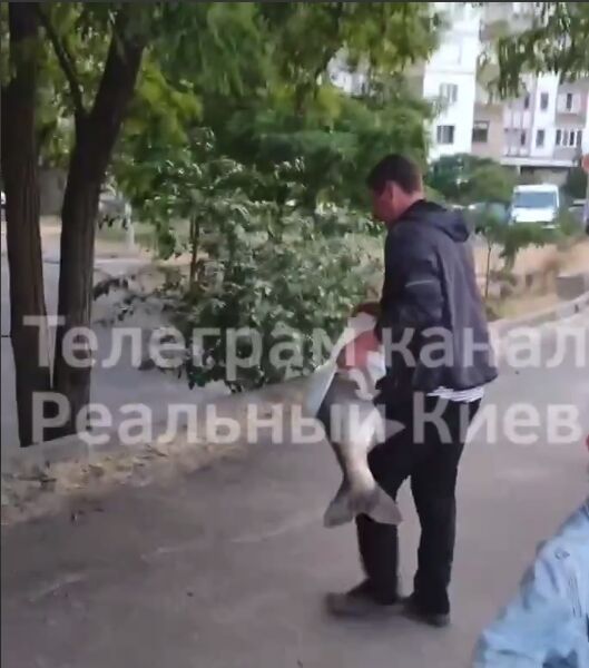 У Києві чоловік виловив величезну рибу. Відео