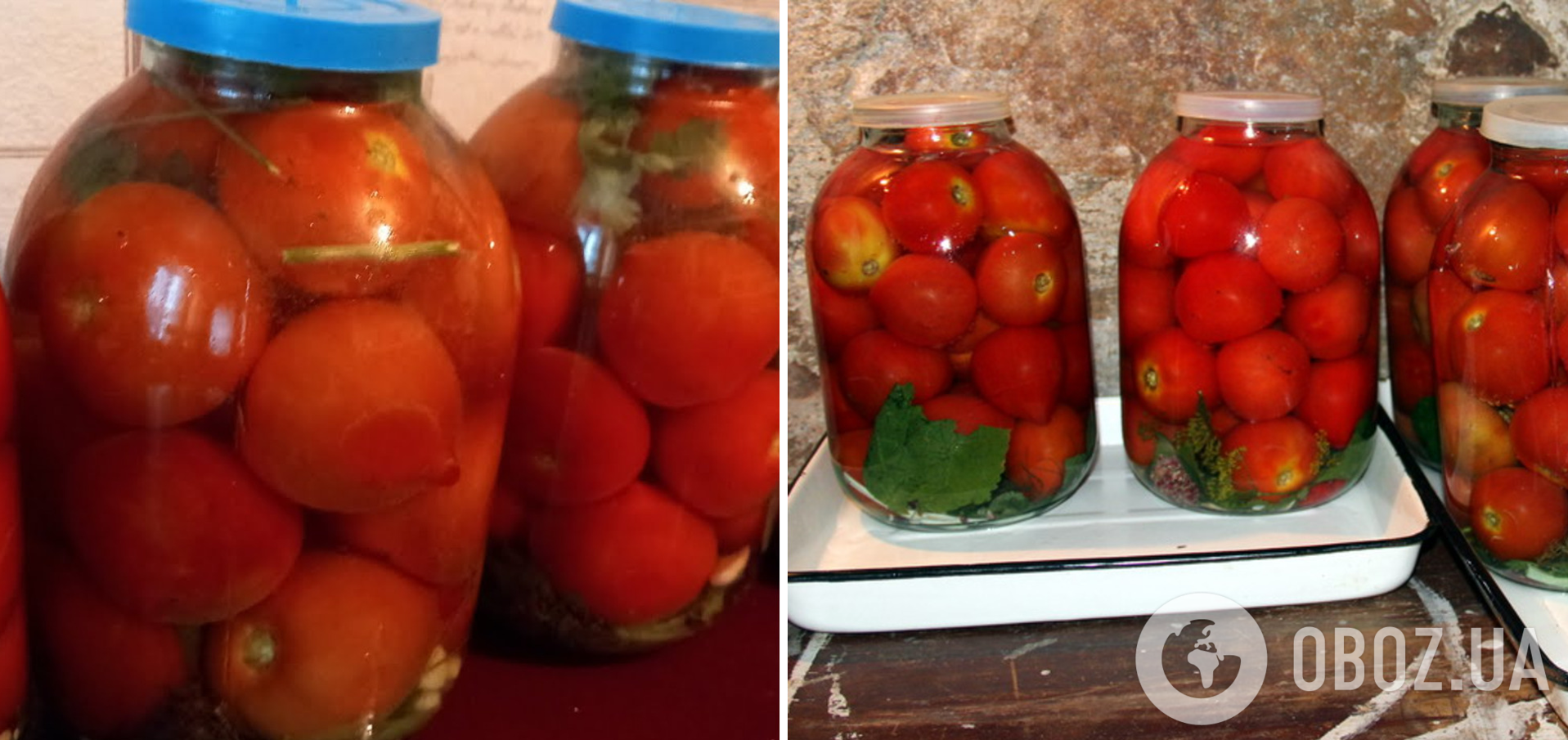 Рецепт квашеных помидоров быстрого приготовления