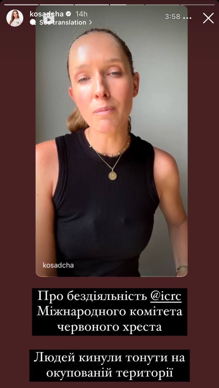 "Люди тонуть заживо": Осадча звинуватила Червоний Хрест у бездіяльності та закликала допомогти Україні. Відео