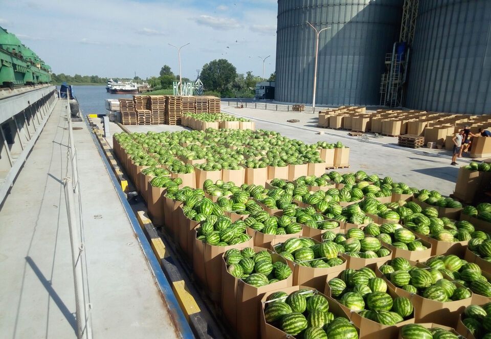 Херсонские арбузы и помидоры исчезнут: что ждет украинский рынок после катастрофы на Каховской ГЭС