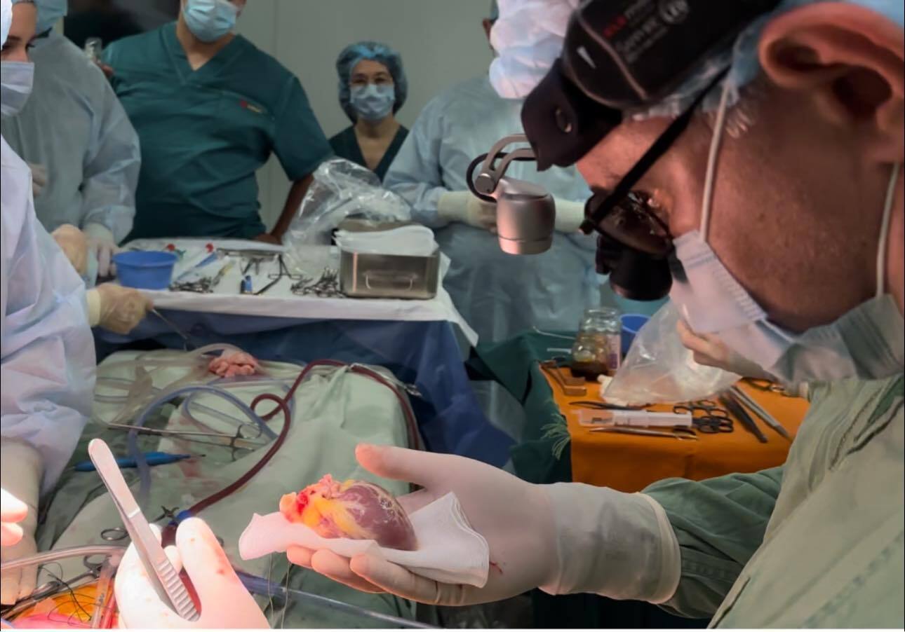 В Україні вперше виконали трансплантацію серця 6-річній дитині: з'явилися дані про її стан 