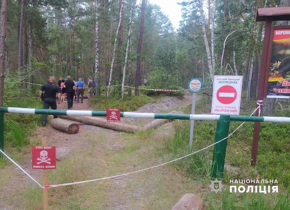 Поїхали по чорниці: в лісі на Житомирщині авто підірвалося на міні, загинув 23-річний чоловік