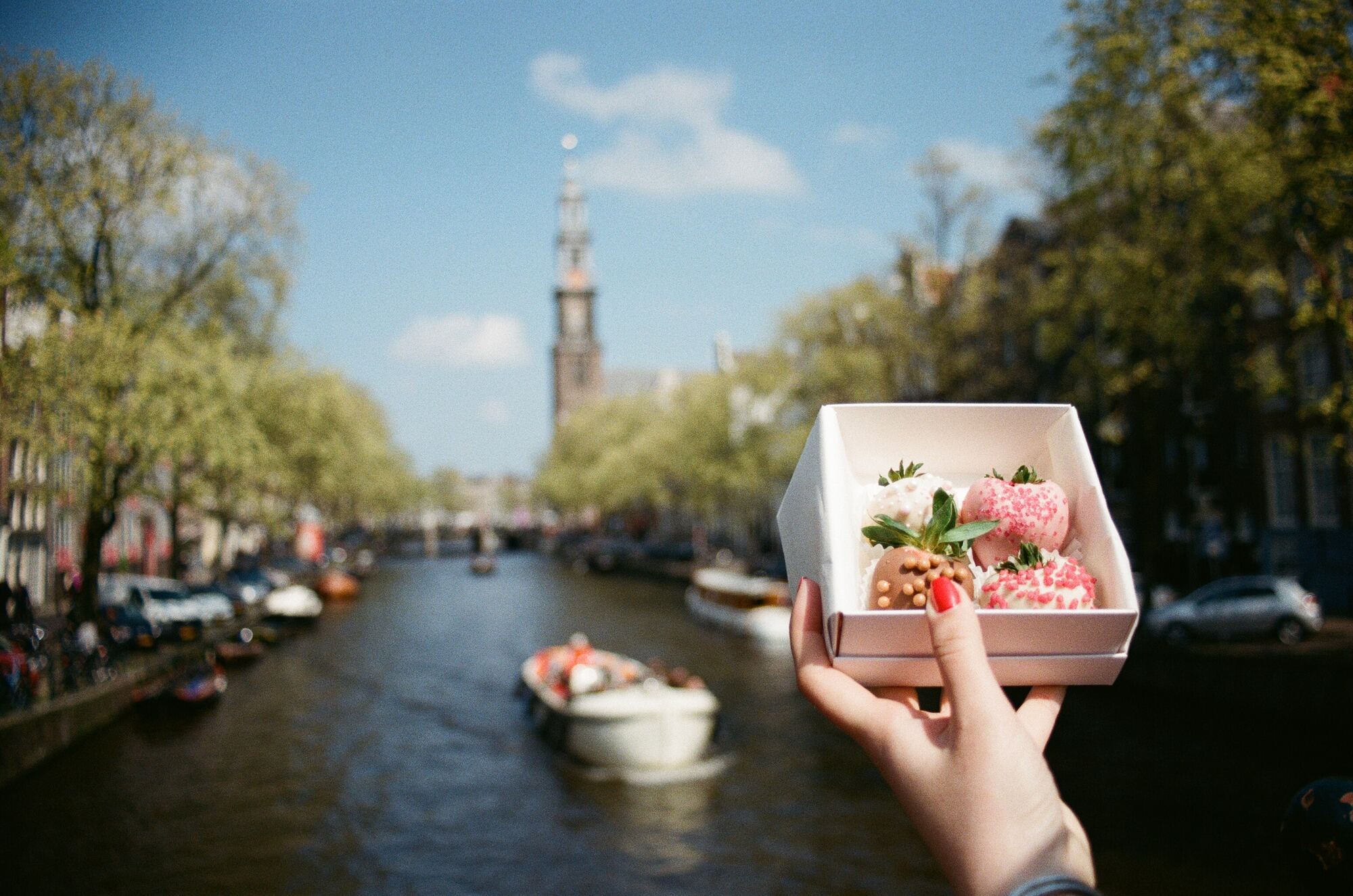 Как сэкономить на поездке в Амстердам: 6 проверенных способов