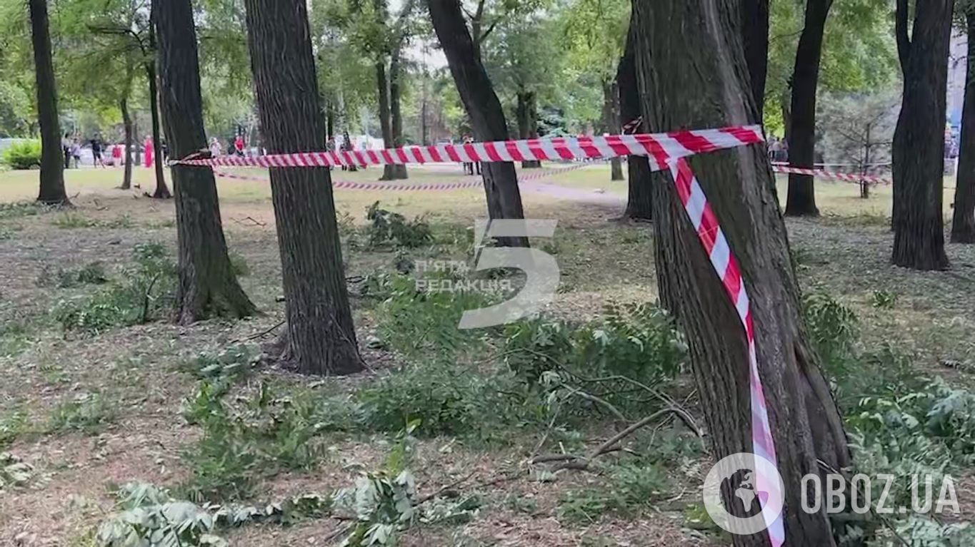 Инцидент произошел в парке
