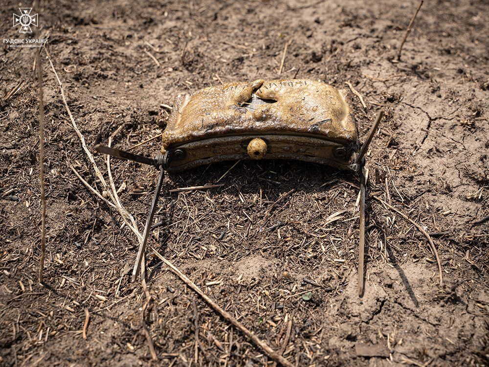 Через 8 місяців після деокупації: на Миколаївщині знайшли ще одне мінне поле. Фото і відео