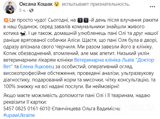 У Львові на 11 день після ракетного удару під завалами знайшли живого кота. Фото і відео