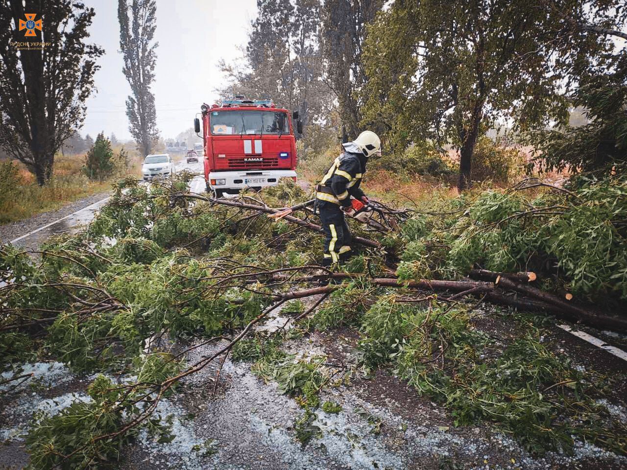 Ужгород накрив шторм: повалено десятки дерев, затоплено вулиці. Фото і відео