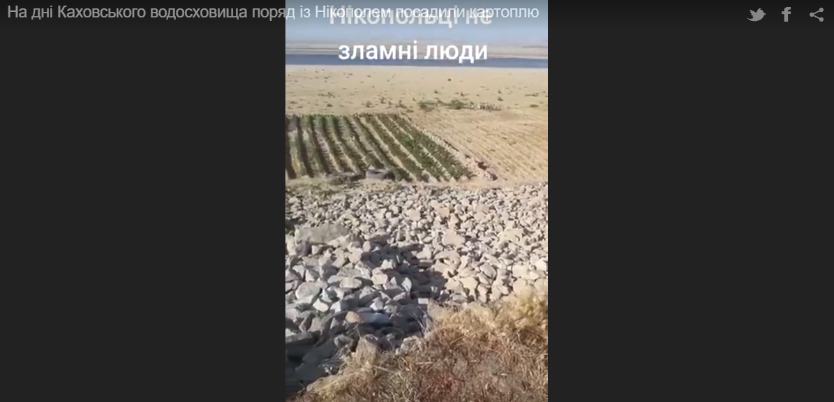 "Украинцев не сломать!" На дне Каховского водохранилища рядом с Никополем посадили картошку. Видео