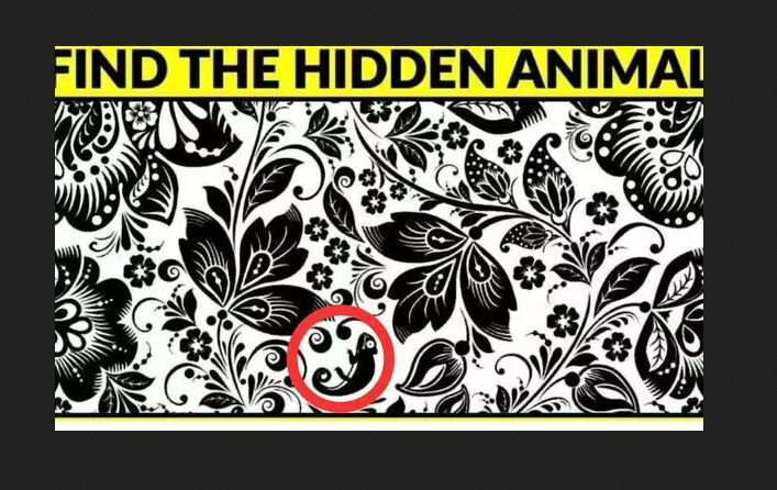 Найдите скрытое животное за 9 секунд: головоломка для самых умных