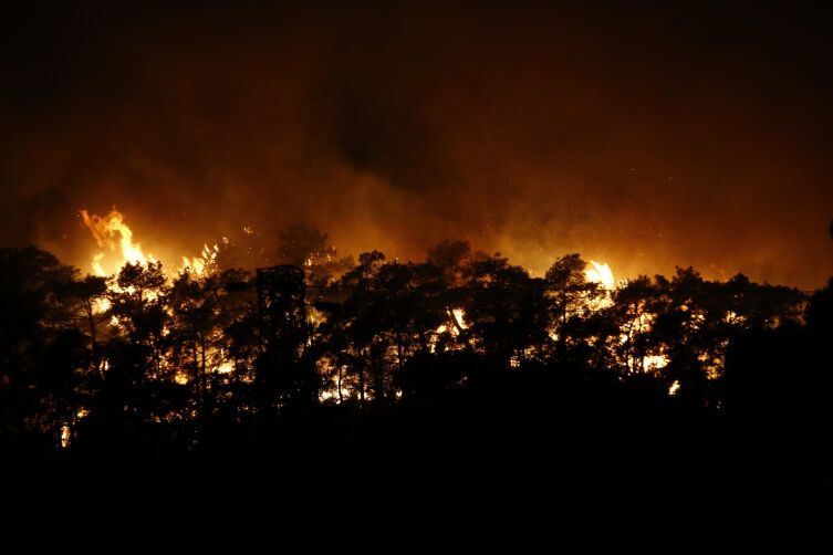 В Турции бушуют лесные пожары, огонь приближается к курортному городу Кемер: есть пострадавшие. Фото и видео