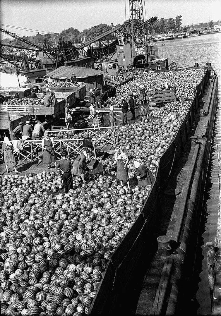 У мережі показали, як розвантажували херсонські кавуни на річковому порту Києва у 1958 році. Архівні фото