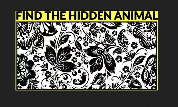 Знайдіть приховану тварину за 9 секунд: головоломка для найрозумніших