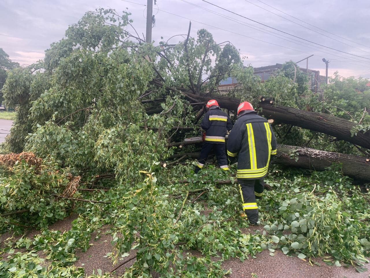 Непогода накрыла Прикарпатье: ураган сорвал крыши домов и свалил деревья. Фото