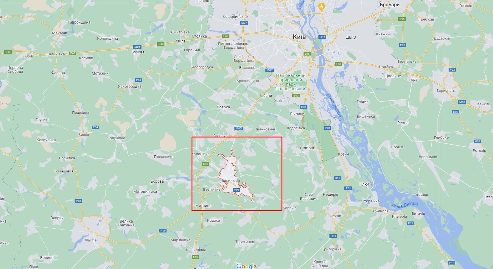 В Киевской области в лесополосе обнаружили тело несовершеннолетней девочки