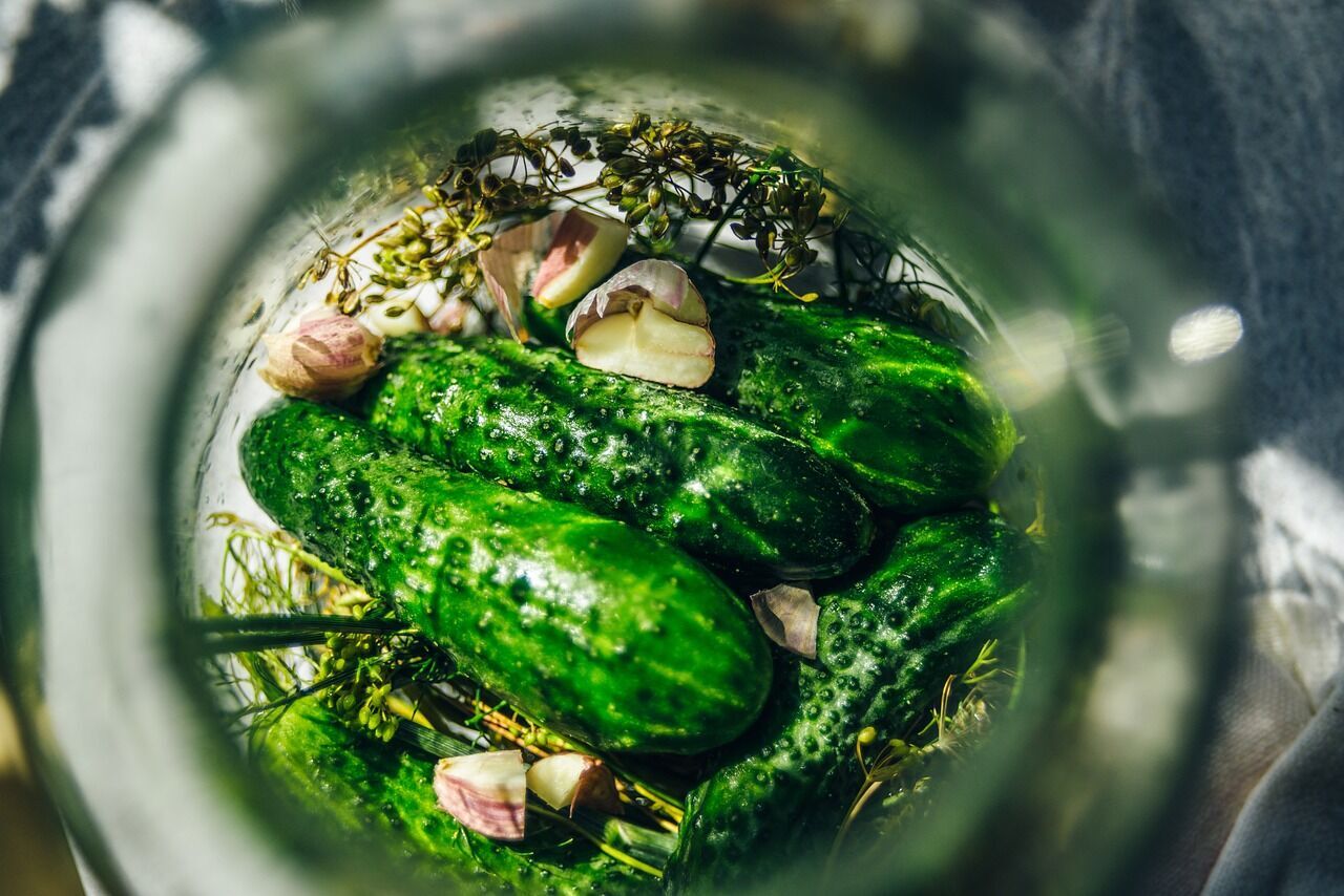 Малосольные огурцы с чесноком и зеленью