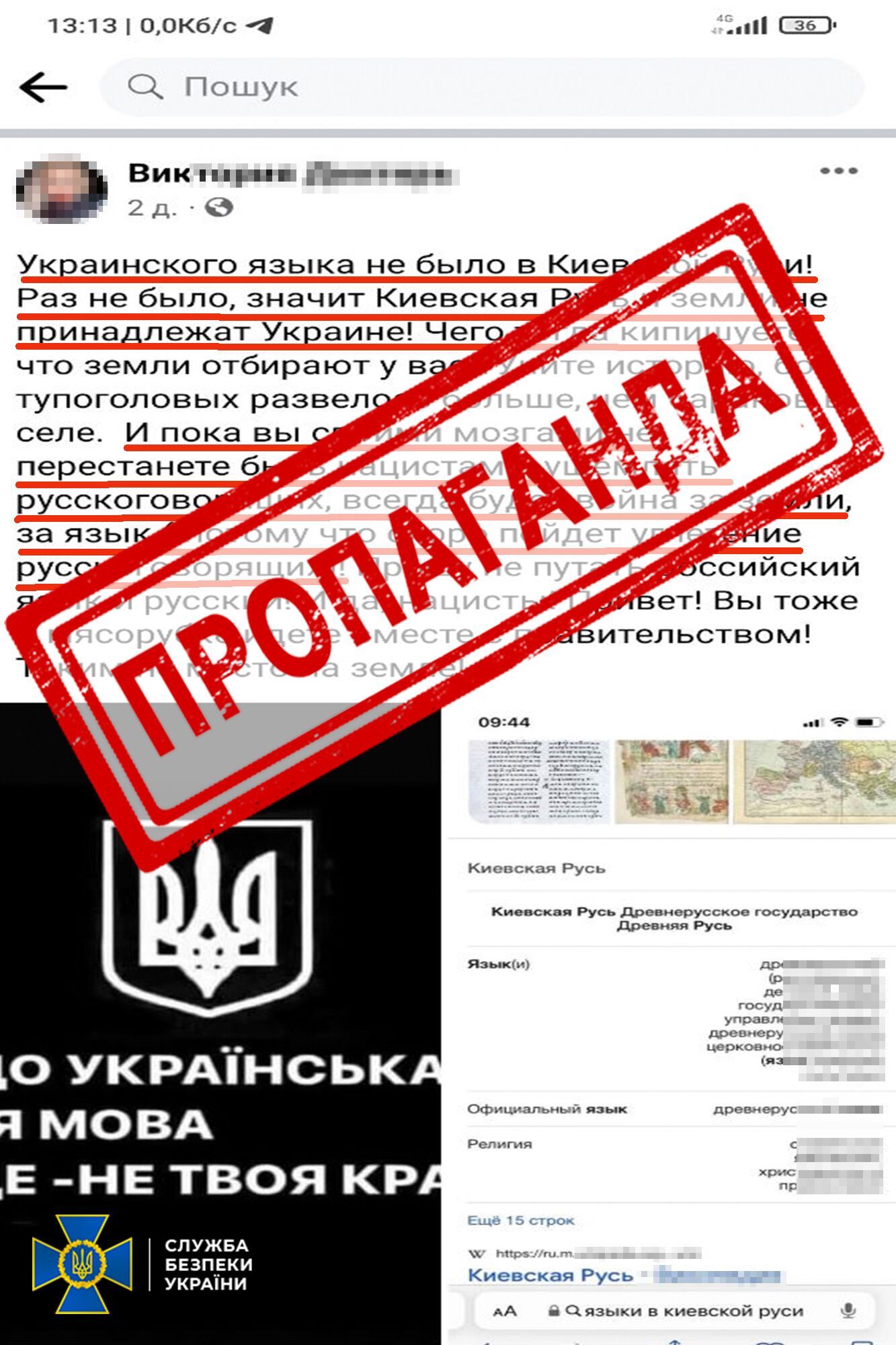 На Киевщине будут судить пропагандистку: призывала к госперевороту и отрицала существование украинского языка. Фото и видео