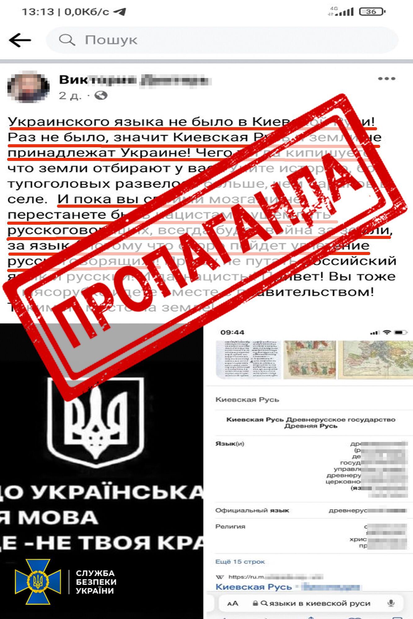 На Київщині судитимуть пропагандистку: закликала до держперевороту та заперечувала існування української мови. Фото та відео