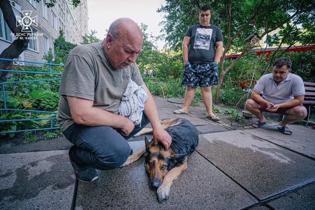 У Києві на Оболоні через забуту праску ледь не згоріла квартира: бійці ДСНС врятували собаку. Фото, відео