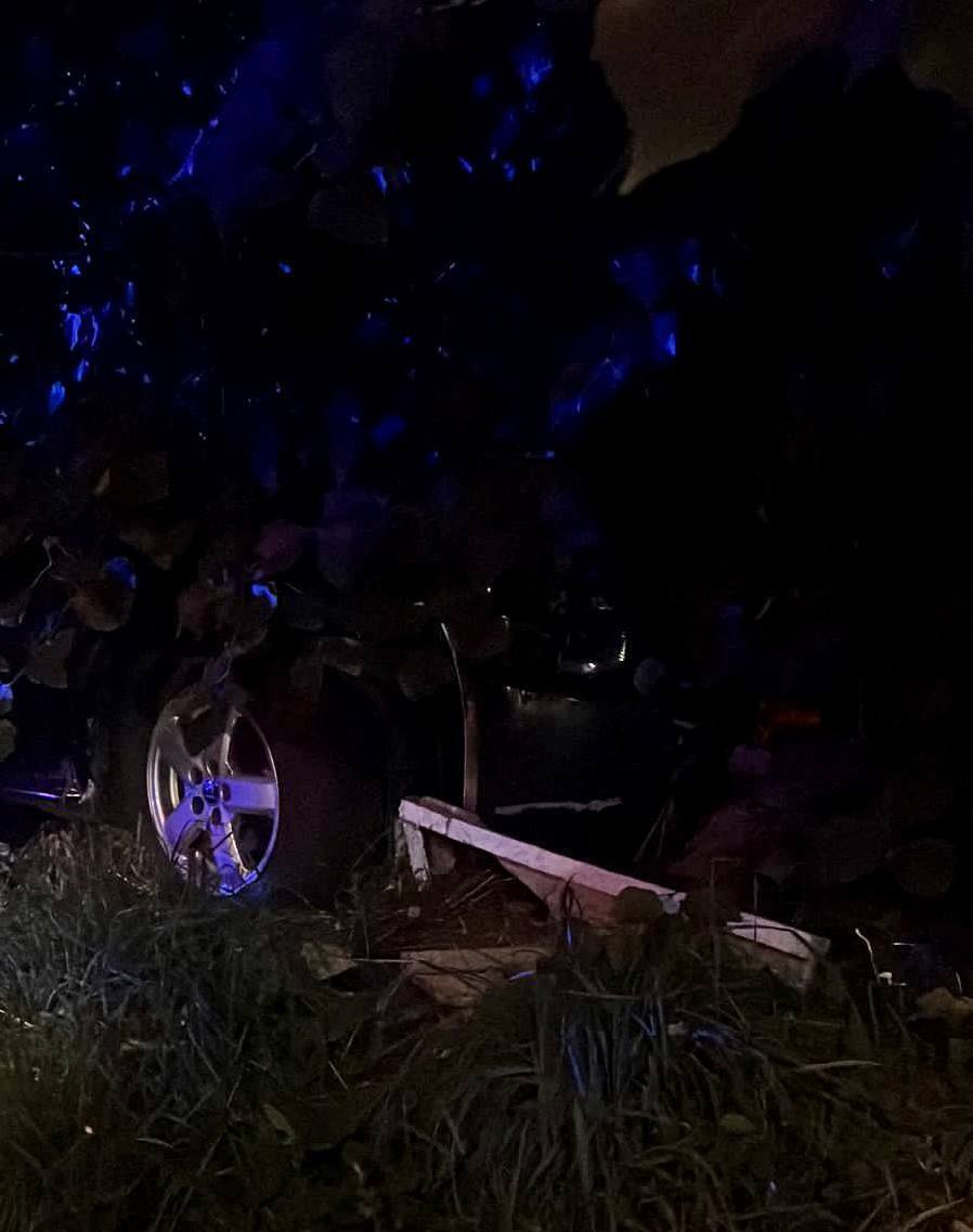 На Київщині легковик протаранив дерево: загинув дворічний хлопчик, у водія були ознаки сп’яніння. Фото