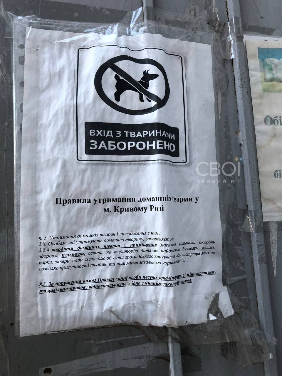 В Кривом Роге мать с детьми отказались пускать в укрытие из-за собаки: разгорелся скандал. Фото