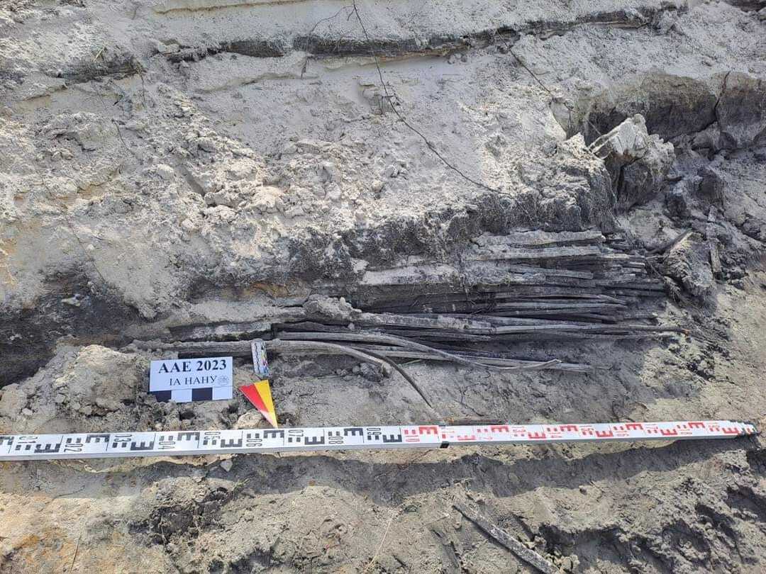 На Київщині знайшли унікальний артефакт, який вимило водою річки Десна. Фото