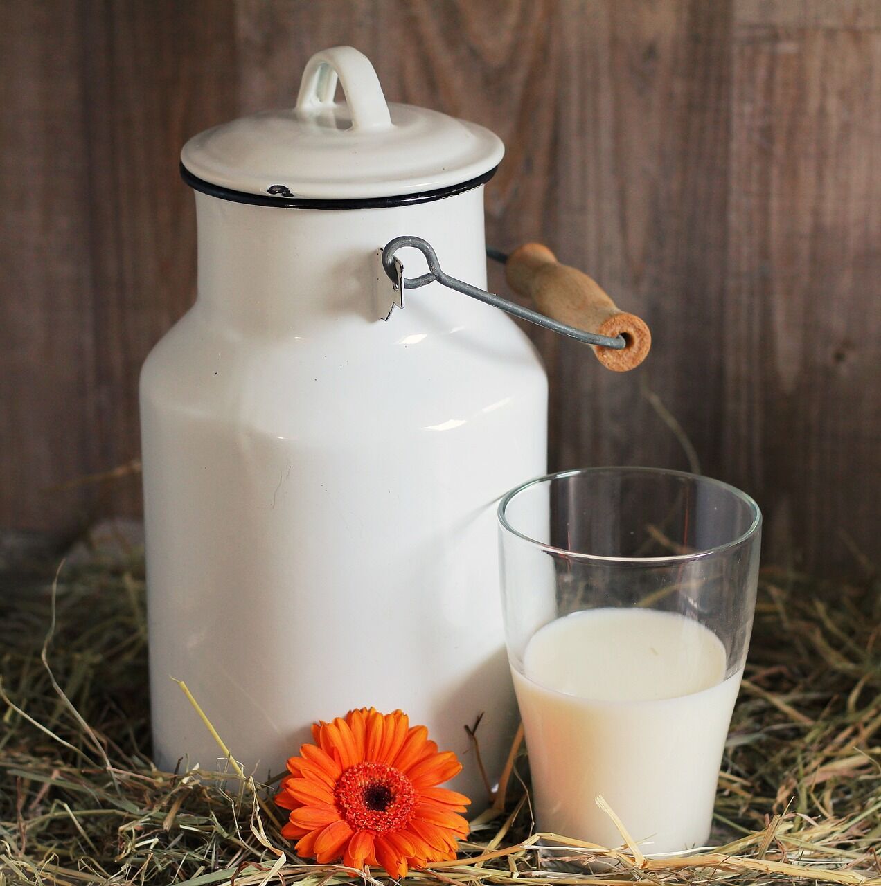 Яке молоко корисніше – тваринне чи рослинне: розповідаємо нюанси 