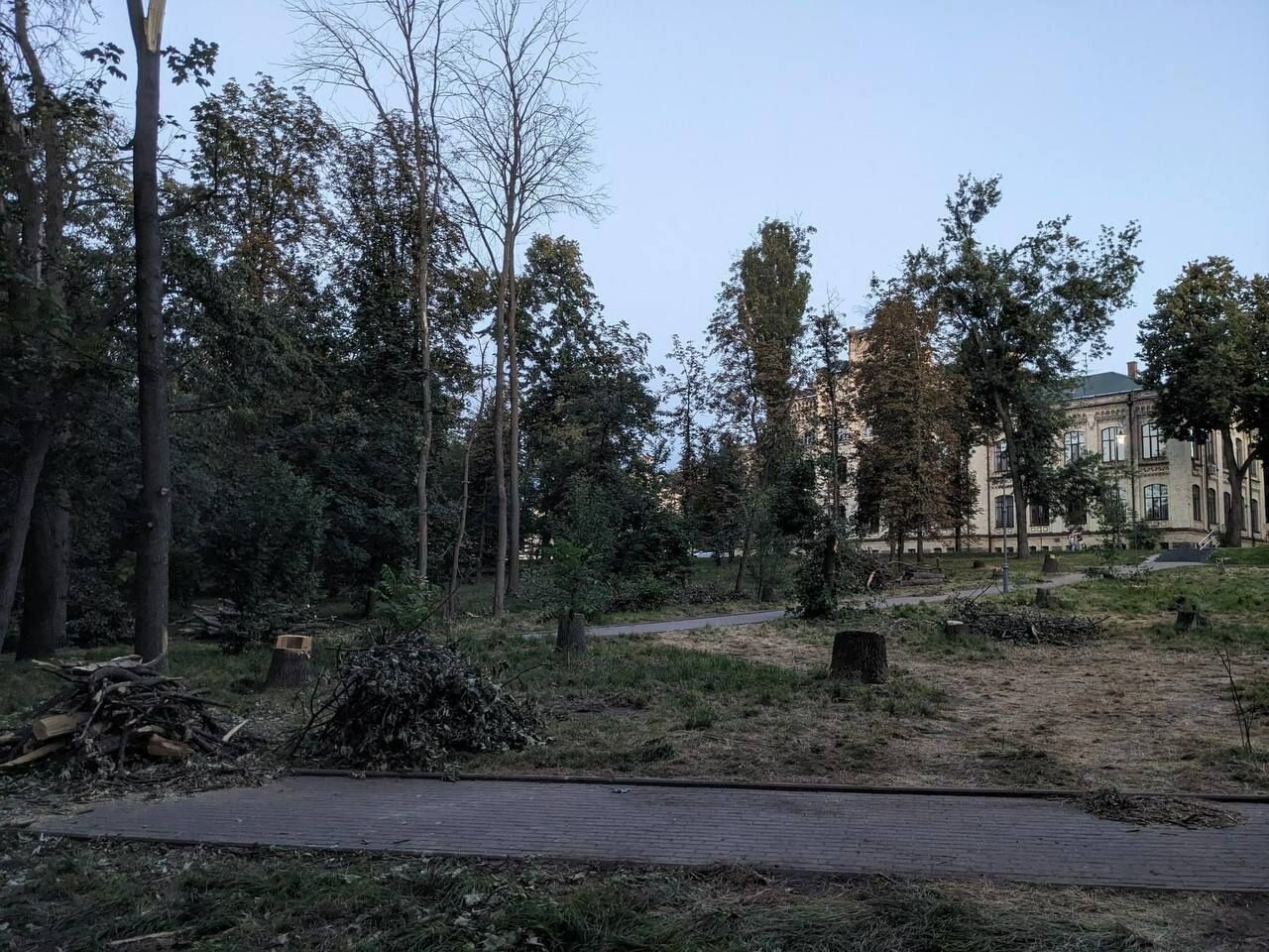 У Києві в парку КПІ масово зрізають дерева: у навчальному закладі пояснили, чому проводять роботи. Фото і відео