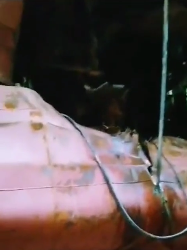 В сети показали видео якобы с поврежденным морским дроном российским танкером SIG