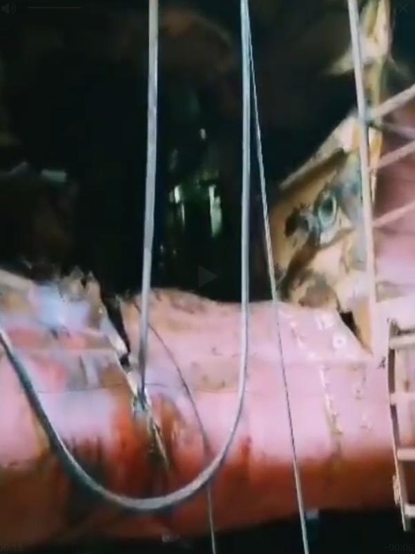 В сети показали видео якобы с поврежденным морским дроном российским танкером SIG