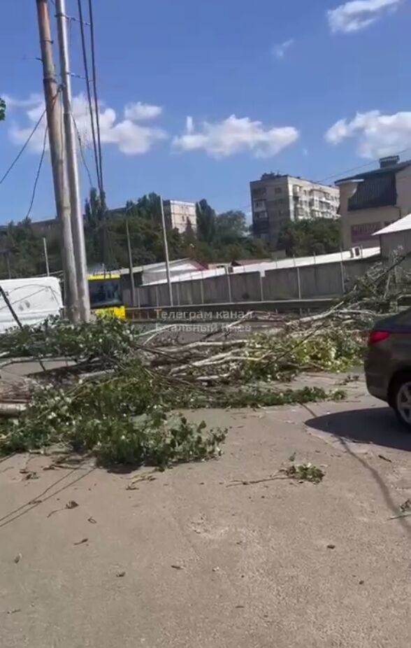 Пошкоджені авто та електромережі: у Києві через пориви вітру стався деревопад. Фото і відео