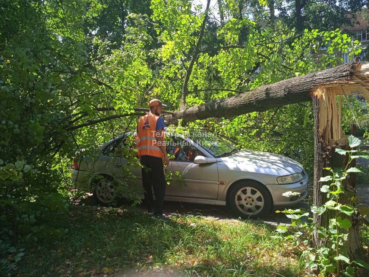 Пошкоджені авто та електромережі: у Києві через пориви вітру стався деревопад. Фото і відео