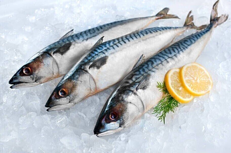 Как правильно замораживать рыбу: она будет безопасной для употребления и вкусной