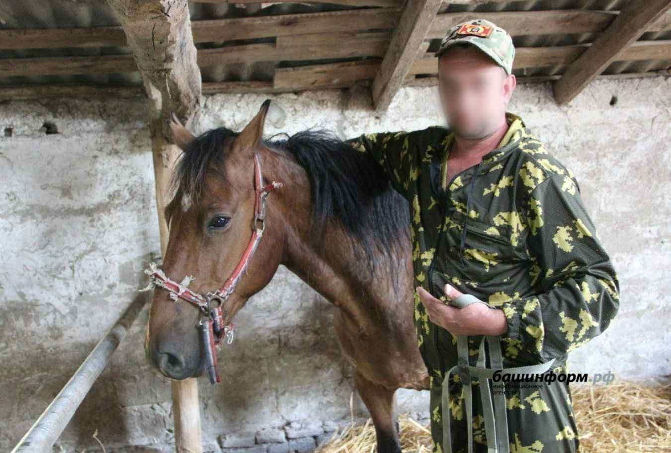 "А когда будут слоны?" Оккупанты на фронте задействовали лошадей вместо грузовиков и стали посмешищем. Фото