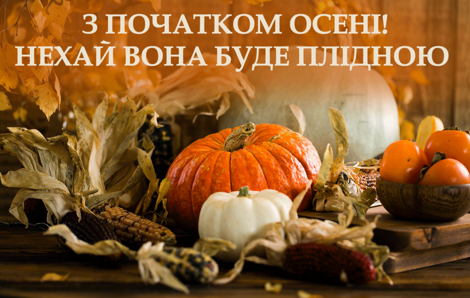 С первым днем осени: теплые поздравления для близких. Картинки и смс