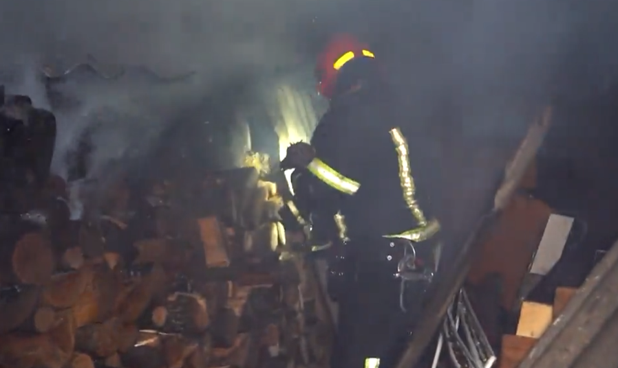 У Хмельницькому під час ліквідації пожежі у ресторані вогнеборці врятували 6 цуценят. Відео