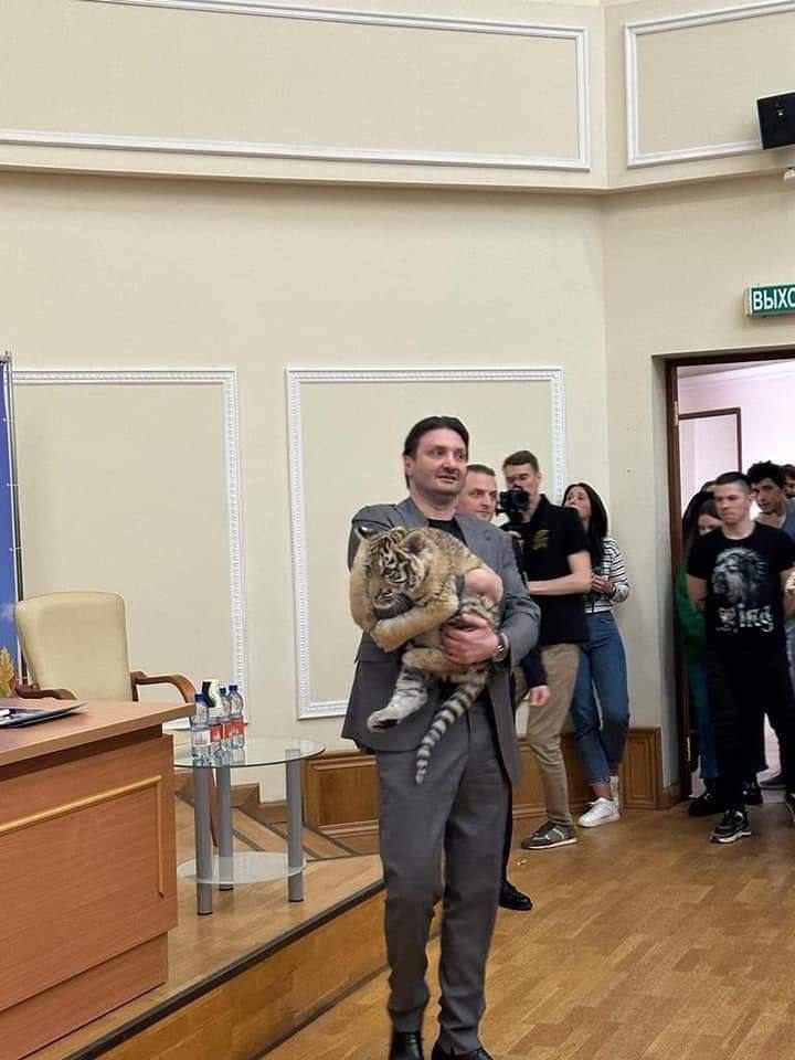 У московському цирку померло тигреня, яке росіяни вкрали із зоопарку Маріуполя. Фото
