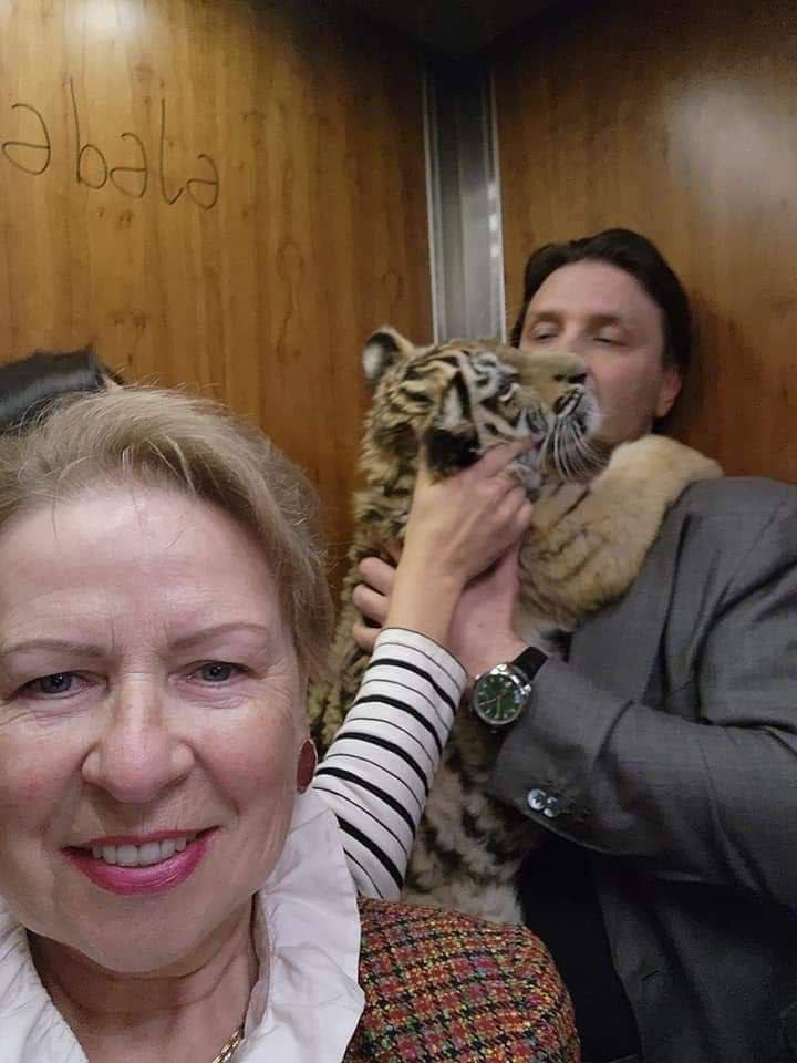 У московському цирку померло тигреня, яке росіяни вкрали із зоопарку Маріуполя. Фото