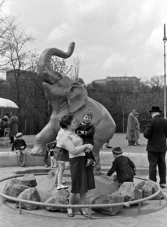 У центрі Києва до кінця 1970-х років можна було побачити улюбленця столичних дітлахів – "Слона". Історія та архівні фото