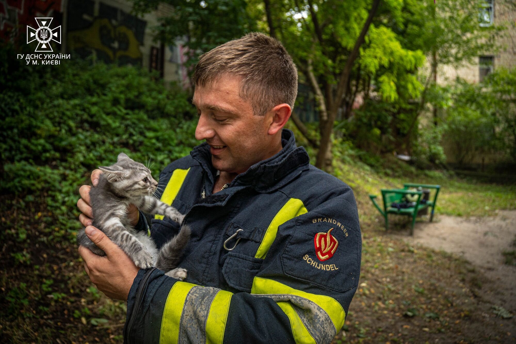 У Києві бійці ДСНС врятували кошеня, яке залізло на висоту 18 метрів. Фото