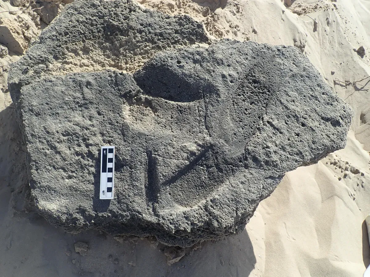 Люди носили взуття ще 148 000 років тому? Знайдено несподівані докази. Фото
