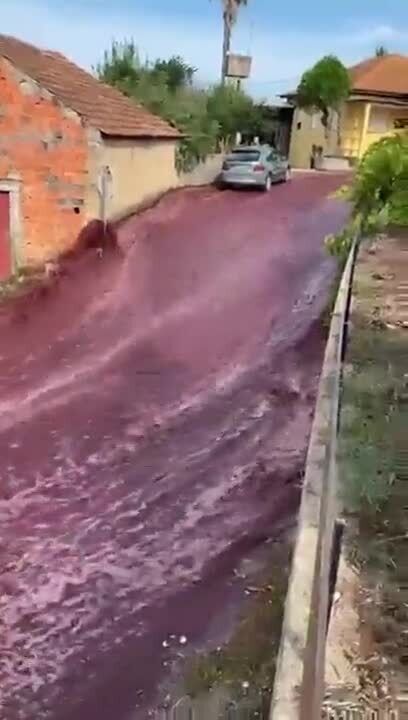 В Португалии из-за аварии на винодельне улицу затопило вином. Видео