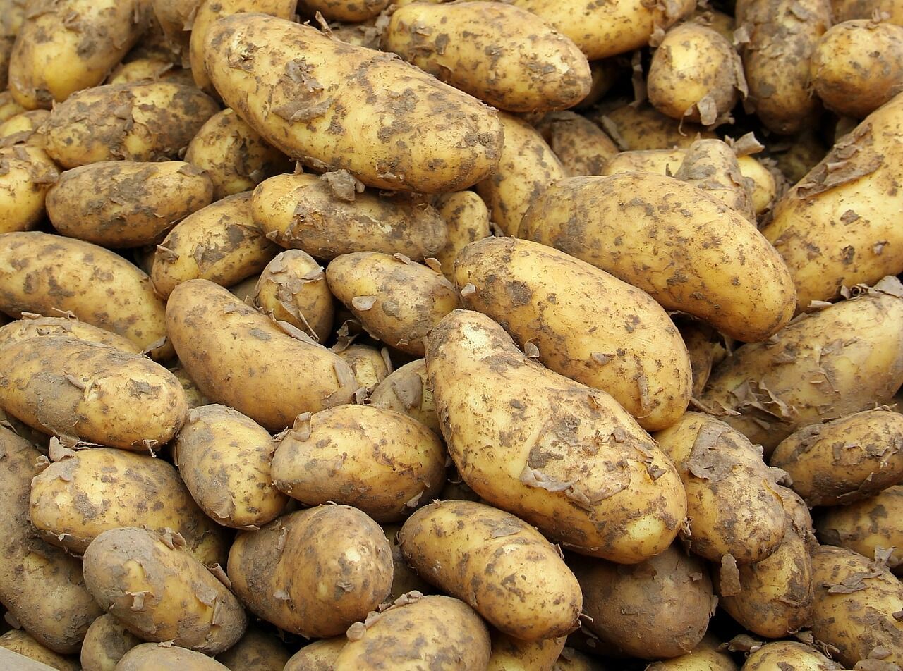 Яку картоплю не можна їсти